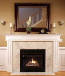 gel fireplace
